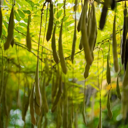 I Giardini Di Marzo Villa *