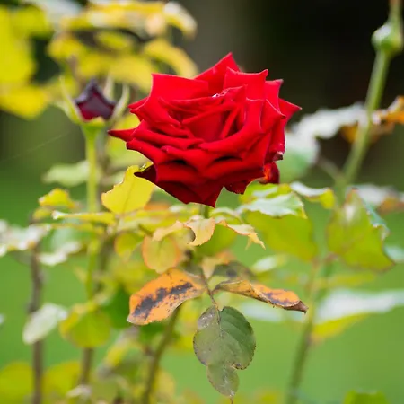 I Giardini Di Marzo