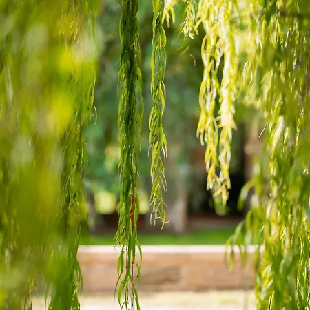 Vila I Giardini Di Marzo