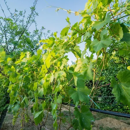 I Giardini Di Marzo * Guagnano